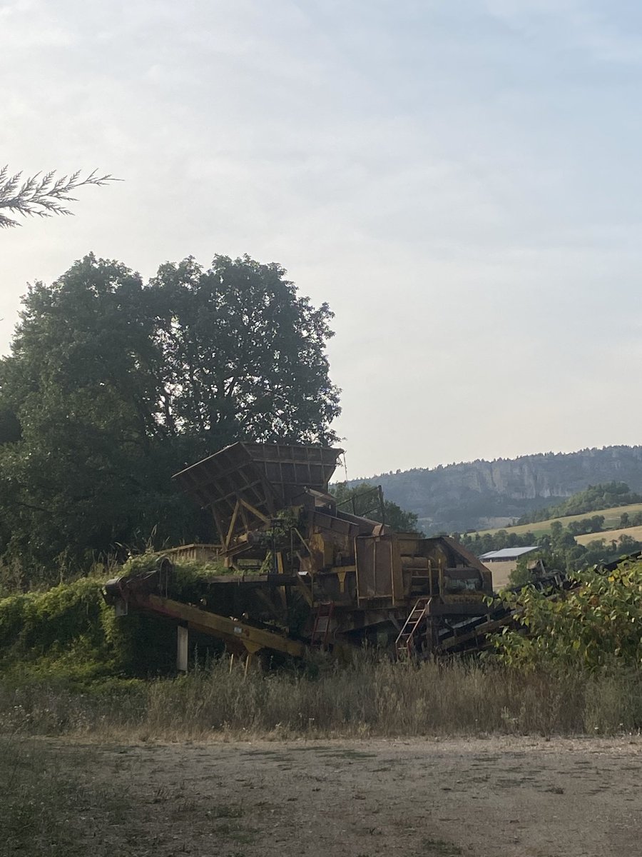 mathilda b (@mathildabloop) on Twitter photo 