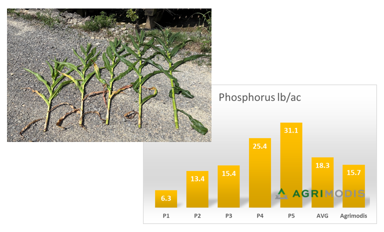 Agrimodis tweet media