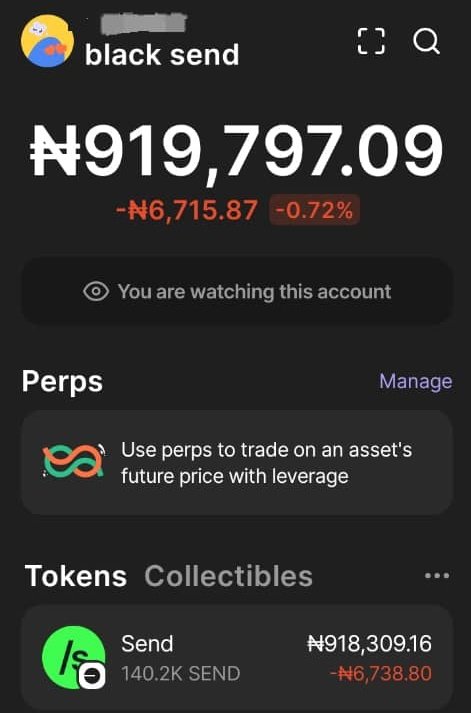 Callmeblackbot's tweet image. ‼️Alpha Alert 001‼️

Firstly, I want to congratulate myself for being a HOLDER &amp;amp; MINI INVESTOR.

Yes, I just hit another high worth ₦900,000 on $SEND simply by HOLDING &amp;amp; CONTRIBUTING. It’s not all about showing up on the TL every day without progress, value, positive ideas, or…