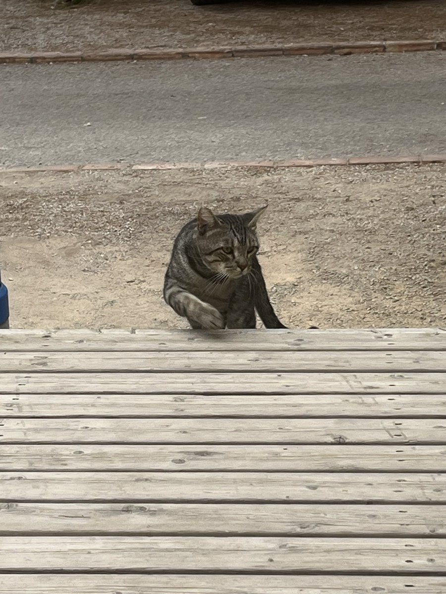 La Maine fait des infidélités en ESPAGNE 🇪🇸 !!!!!
C’est vraiment un scandale