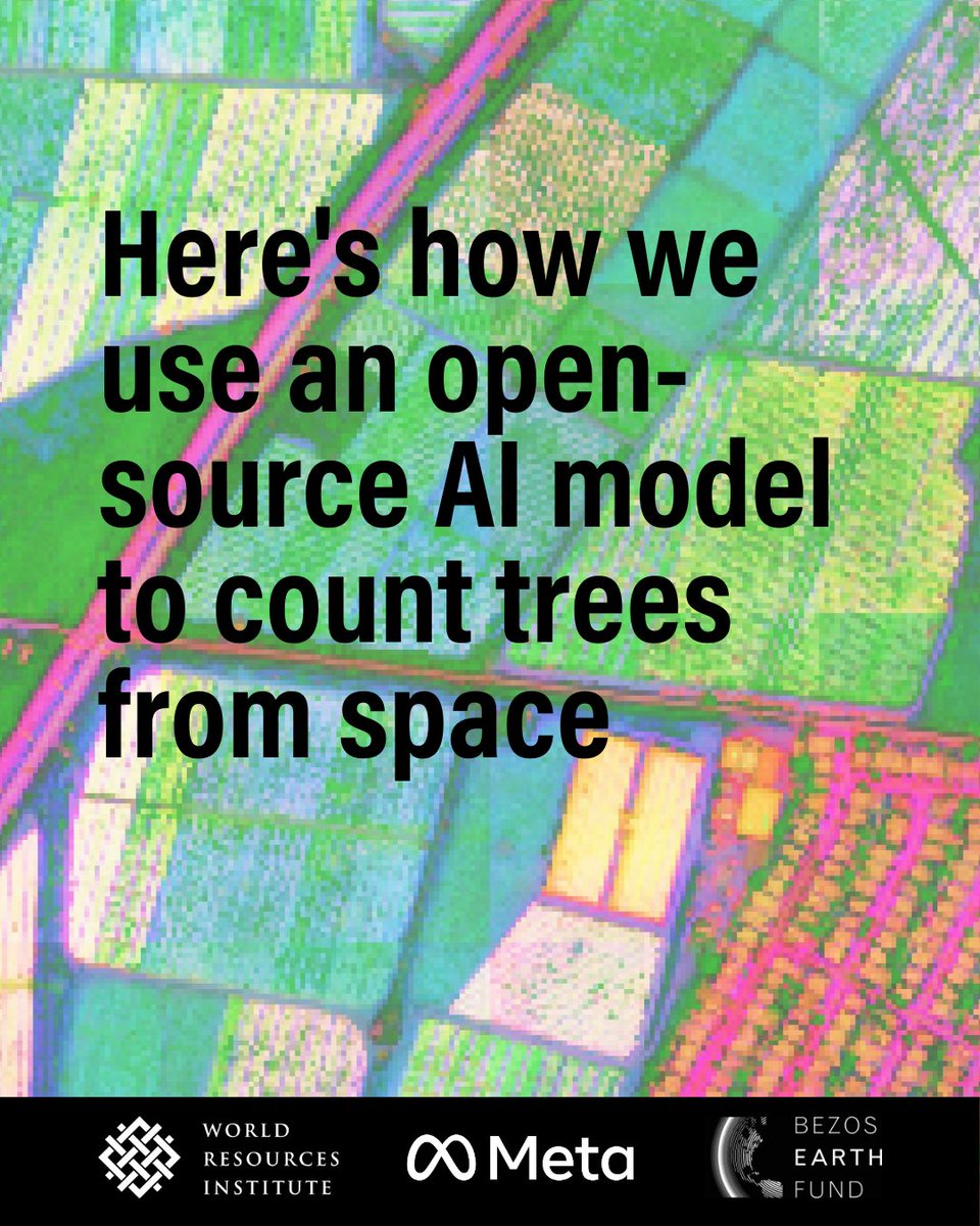 landcarbonlab's tweet image. DINOv3, developed by @AIatMeta with support from @WorldResources is setting a new standard for environmental monitoring.

This is how we use it to map the height of individual trees globally — faster &amp;amp; more accurately than ever before: 🔗 bit.ly/4oyZqZs

@BezosEarthFund