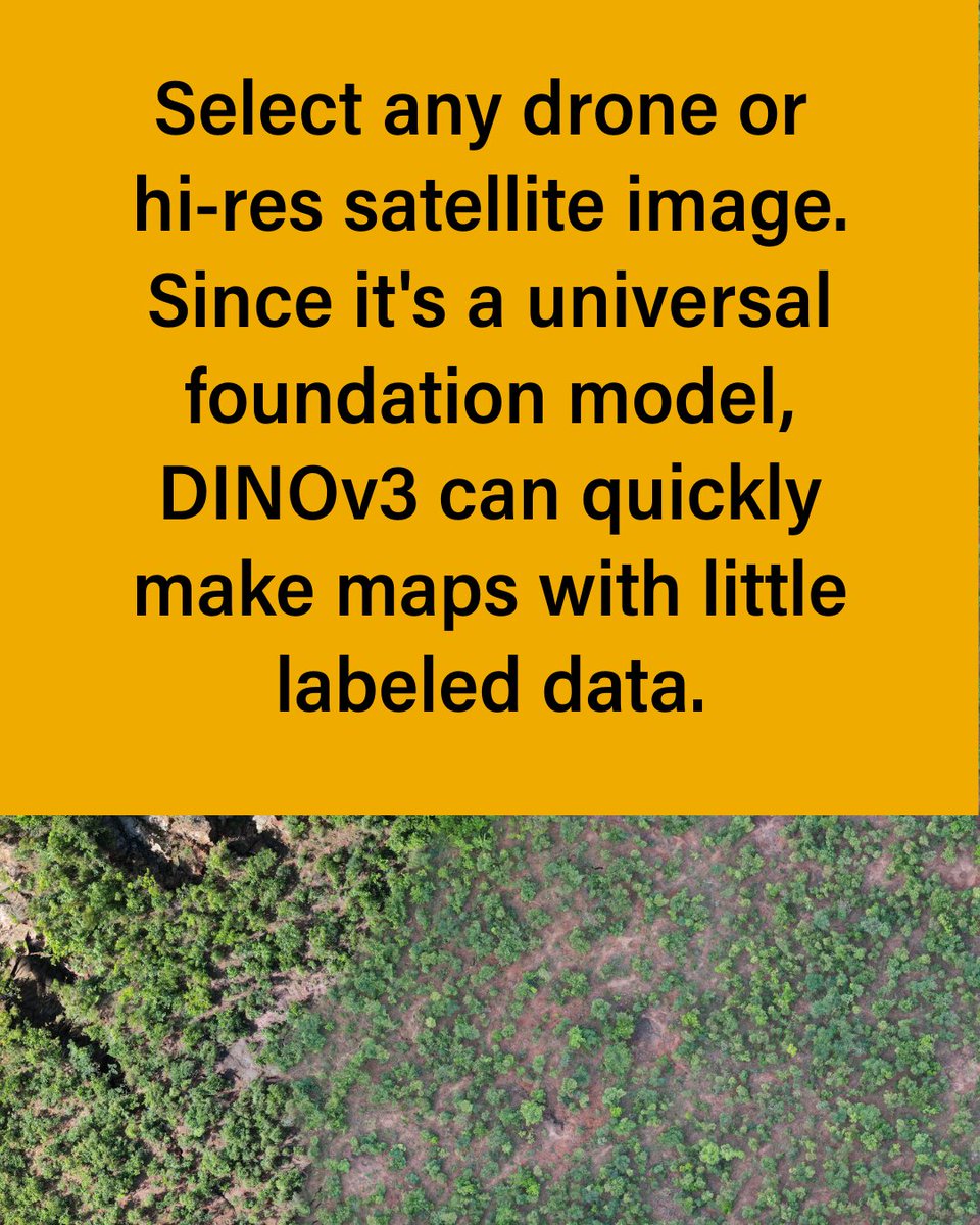 landcarbonlab's tweet image. DINOv3, developed by @AIatMeta with support from @WorldResources is setting a new standard for environmental monitoring.

This is how we use it to map the height of individual trees globally — faster &amp;amp; more accurately than ever before: 🔗 bit.ly/4oyZqZs

@BezosEarthFund