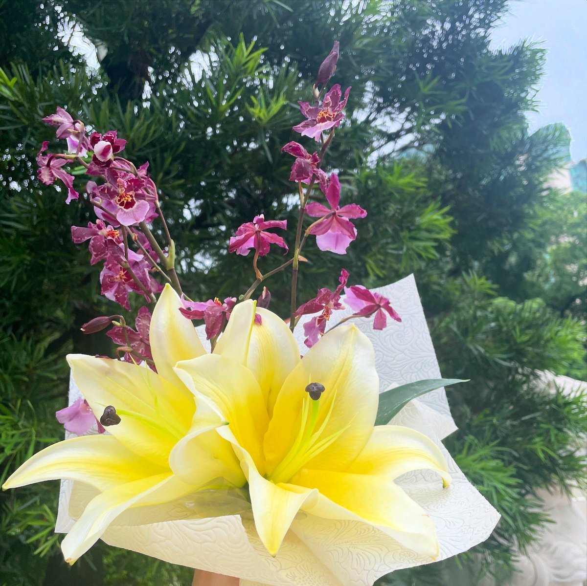 knock knock, It’s been two years since I took my long nap. How’s everyone doing lately? I know you’re all doing amazing, keep it up
And if you’re ever feeling down or caught in a mood, just remember I’m still here, floating above the skies and across the internet, always ready to