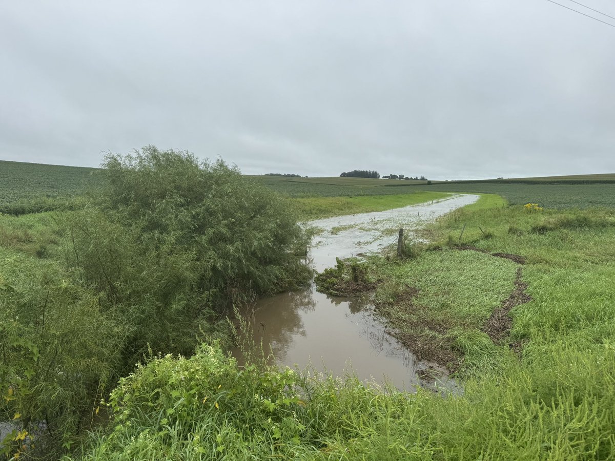 Rep. Rick Hansen (@reprickhansen) on Twitter photo ✅Why we need grassed 💧💦🌊waterways: bwsr.state.mn.us/common-alterna…
<a href="/MNBWSR/">MN BWSR</a> <a href="/USDA_NRCS/">Natural Resources Conservation Service</a> #soils #erosion #waterquality #mnleg <a href="/pheasants4ever/">Pheasants Forever</a> <a href="/DucksUnlimited/">Ducks Unlimited</a> ✅Why we need grassed 💧💦🌊waterways: bwsr.state.mn.us/common-alterna…
<a href="/MNBWSR/">MN BWSR</a> <a href="/USDA_NRCS/">Natural Resources Conservation Service</a> #soils #erosion #waterquality #mnleg <a href="/pheasants4ever/">Pheasants Forever</a> <a href="/DucksUnlimited/">Ducks Unlimited</a>