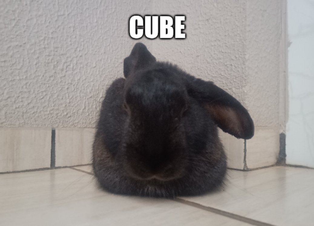 Riley :3 (bnuuy coded🐇) (@swarce_) on Twitter photo 