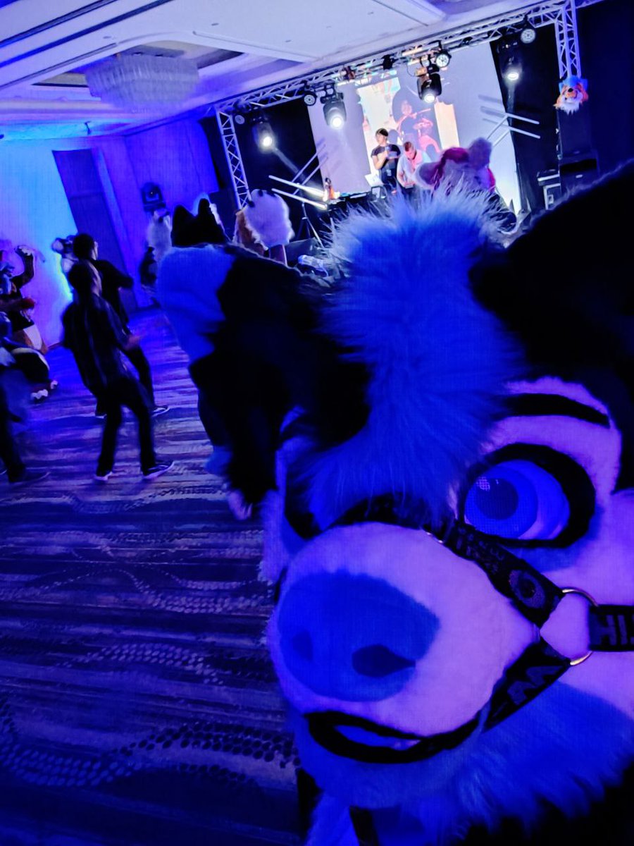 I really enjoyed my time at #Fureast2025  
Loved what our DJs had to offer, and the lighting matched my fur perfectly ! ✨