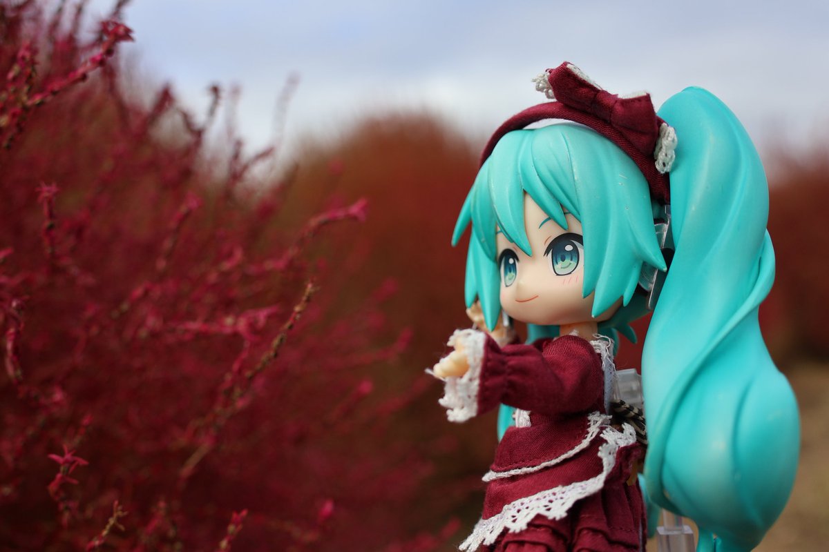 #深夜の初音ミク撮影60分一本勝負
8/18 お題【観察】【遅刻】
コキアの花を観察中…
実は食用になるらしい…