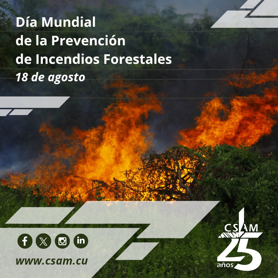 ✅🧯Día Mundial de la Prevención de Incendios Forestales🔥🧯🌳‼️

🔥La mayoría de los incendios forestales son causados por actividades humanas.

👉¡La prevención está en nuestras manos! 🙌 

#CSAM #DíaMundialDeLaPrevenciónDeIncendiosForestales #IncendiosForestales #Cumplimos25