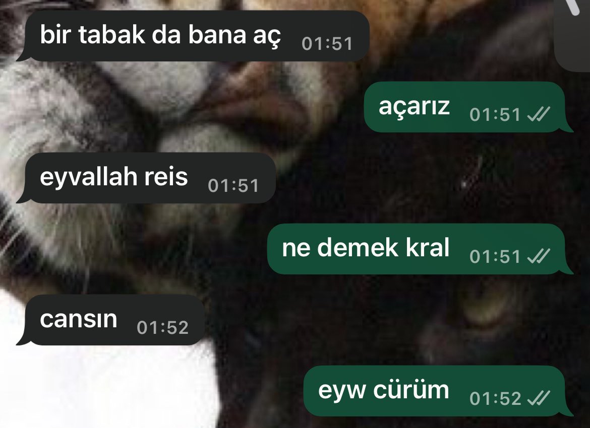 benim güncel flört yetenekleri