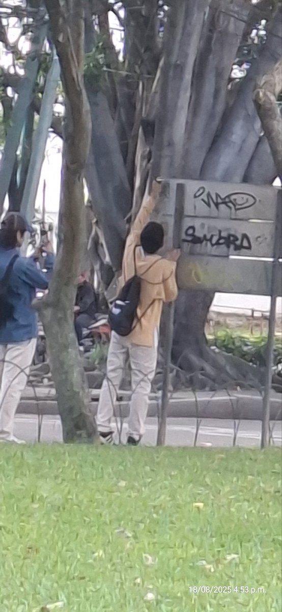 el_masimo's tweet photo. @muniguate @Noti7Guatemala @TelediarioGT @Guatevision_tv @PNCdeGuatemala Par de delincuentes intimidando a transeúntes en la avenida reforma y realizando pintas para marcar territorio. https://t.co/kMBmSzkkxw