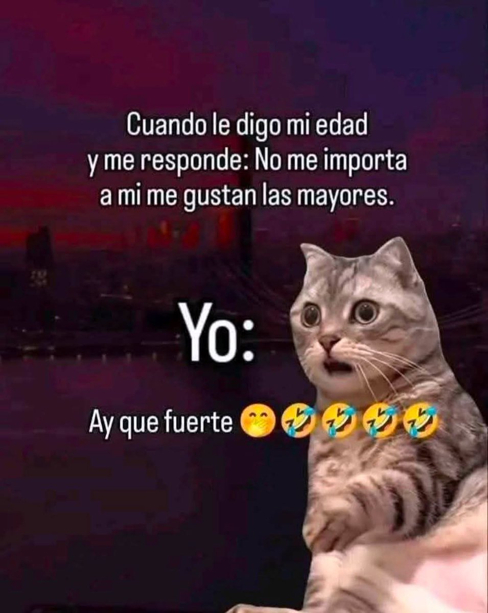 Mon🧙 (@lapinchemonse) on Twitter photo 