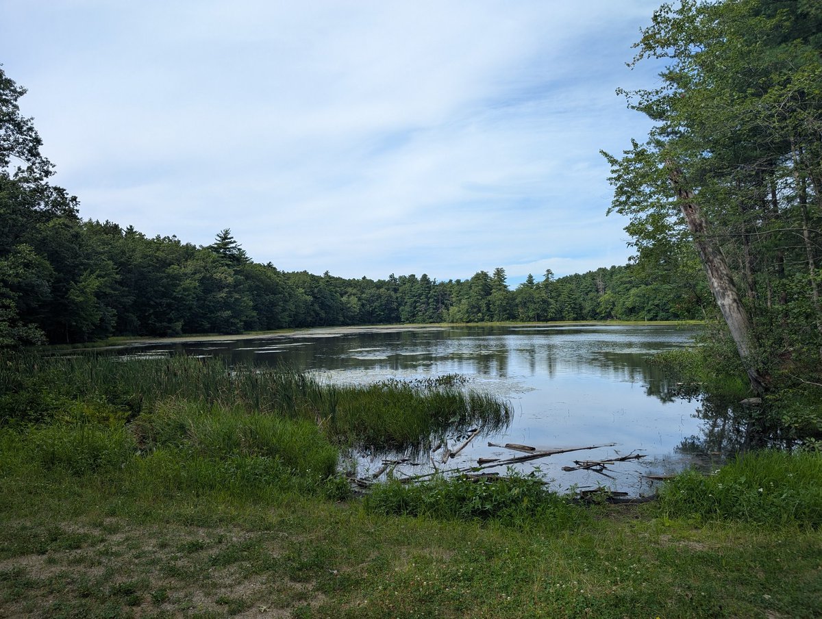 Wholesome New Hampshire 🦔 tweet media