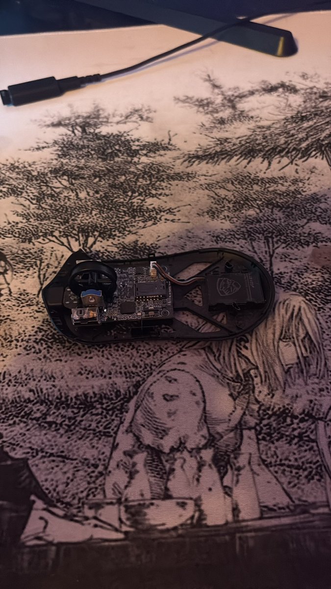 Glaube der maus gehts gut