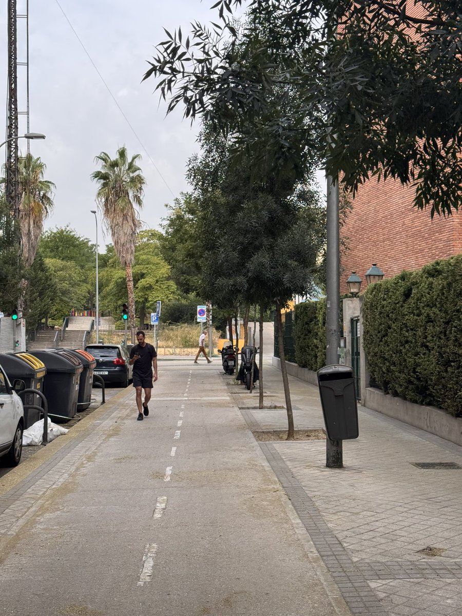 Alejo 🌻 tweet media