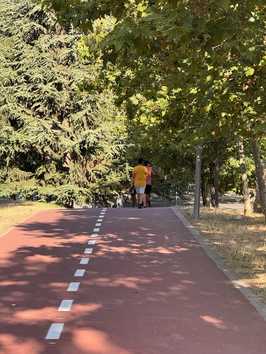 Alejo 🌻 tweet media