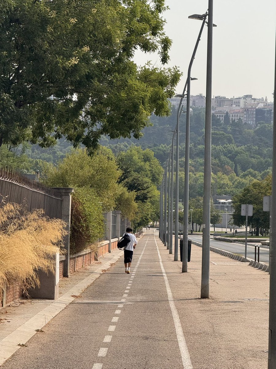 Alejo 🌻 tweet media