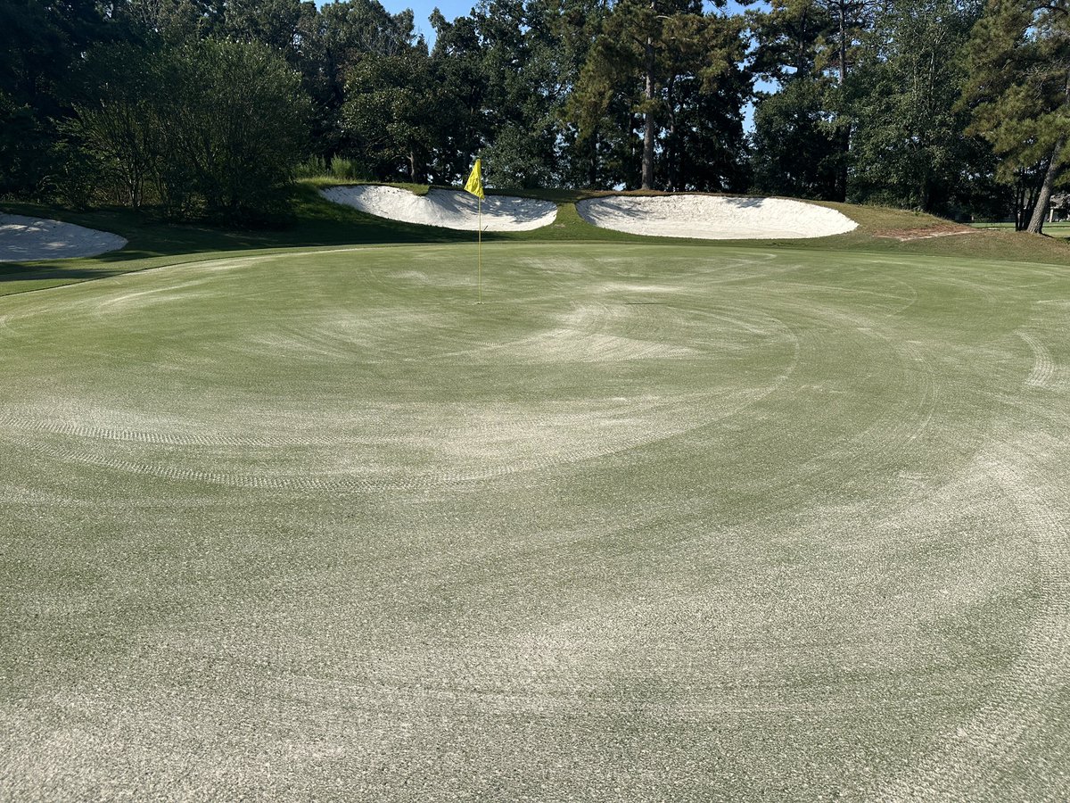 A little core to let them breathe after a good verticut last week. Also a little CC 18-3-18.. 30 yr old Tifdwarf hanging in there good…