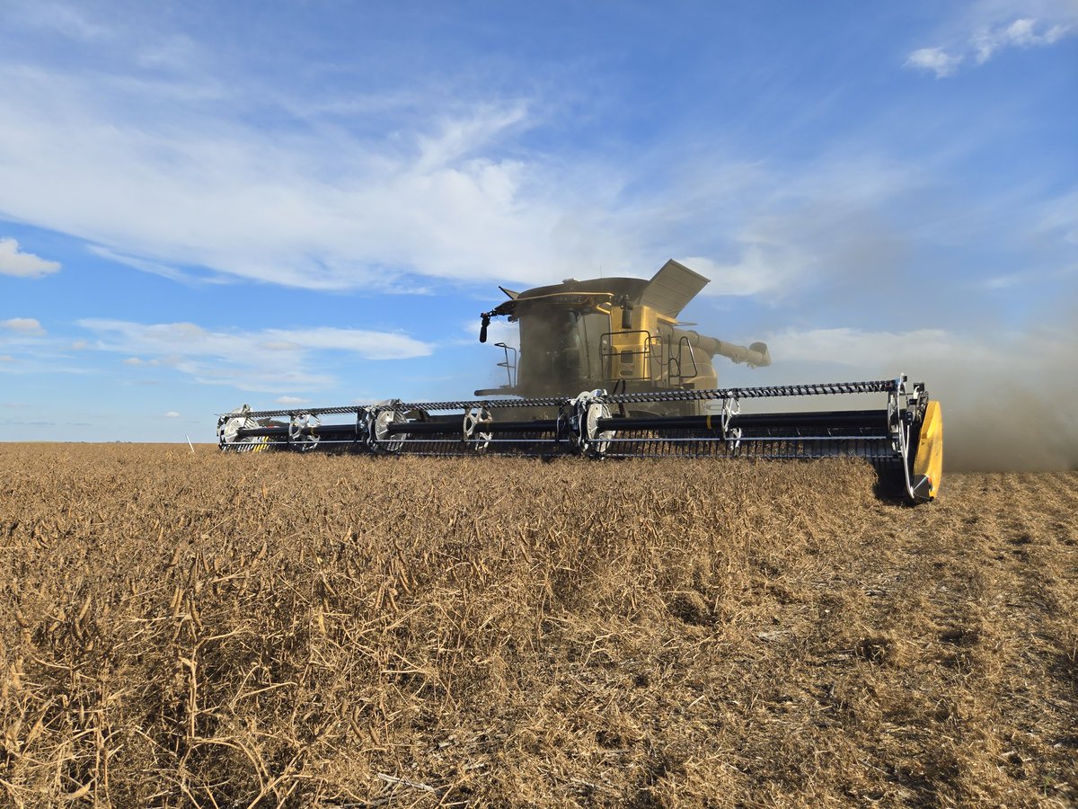 Randy Toman tweet media