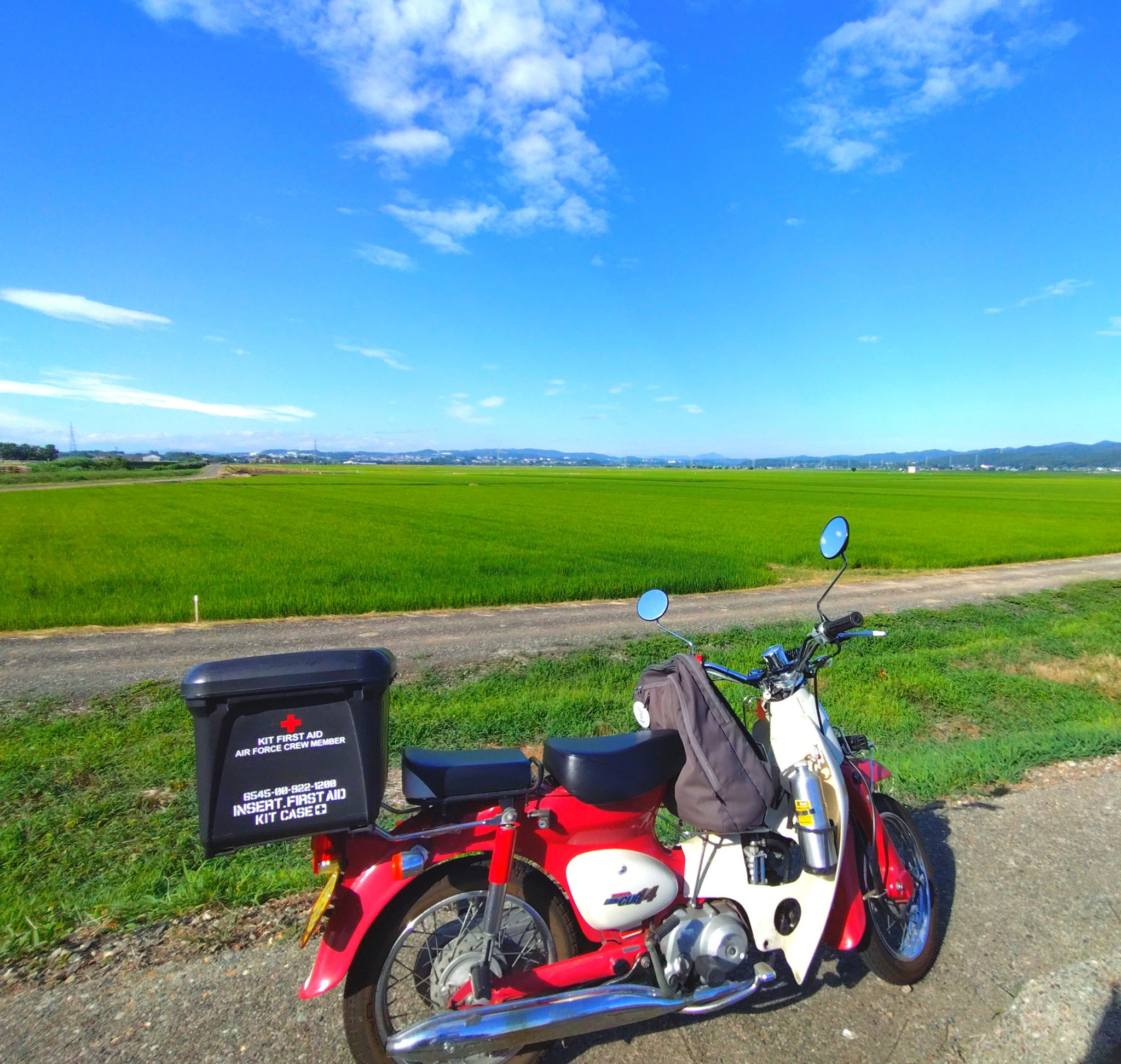 ⭐️armrykn♡です 楽天市場】【中古】A BATHING APE | アベイシングエイプ MAD STA