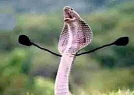 بطليموس الأولاواني (@batlamyusthe1st) on Twitter photo 