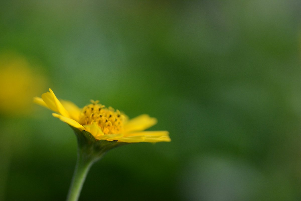 おはウィクです☺️
迷いがあるのは、進もうとしている証拠💭
その時間が、あなたをもっと強くする
#迷いは成長 #考える時間