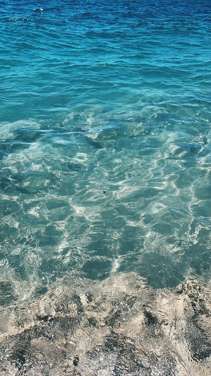 kiwiairene's tweet image. 