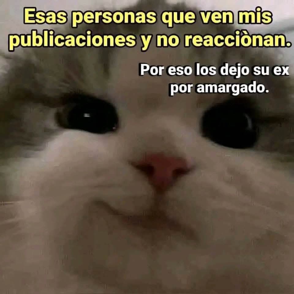 Mon🧙 (@lapinchemonse) on Twitter photo 