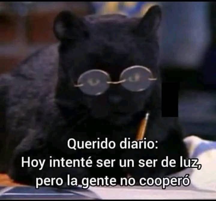 Mon🧙 (@lapinchemonse) on Twitter photo 