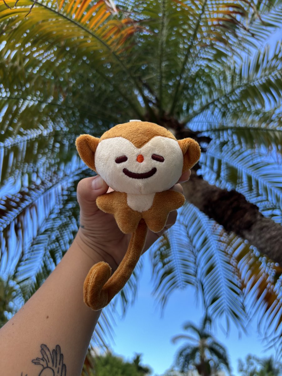 camiilicy's tweet photo. Monkey silly time ✨ https://t.co/SvoFrma7Fz