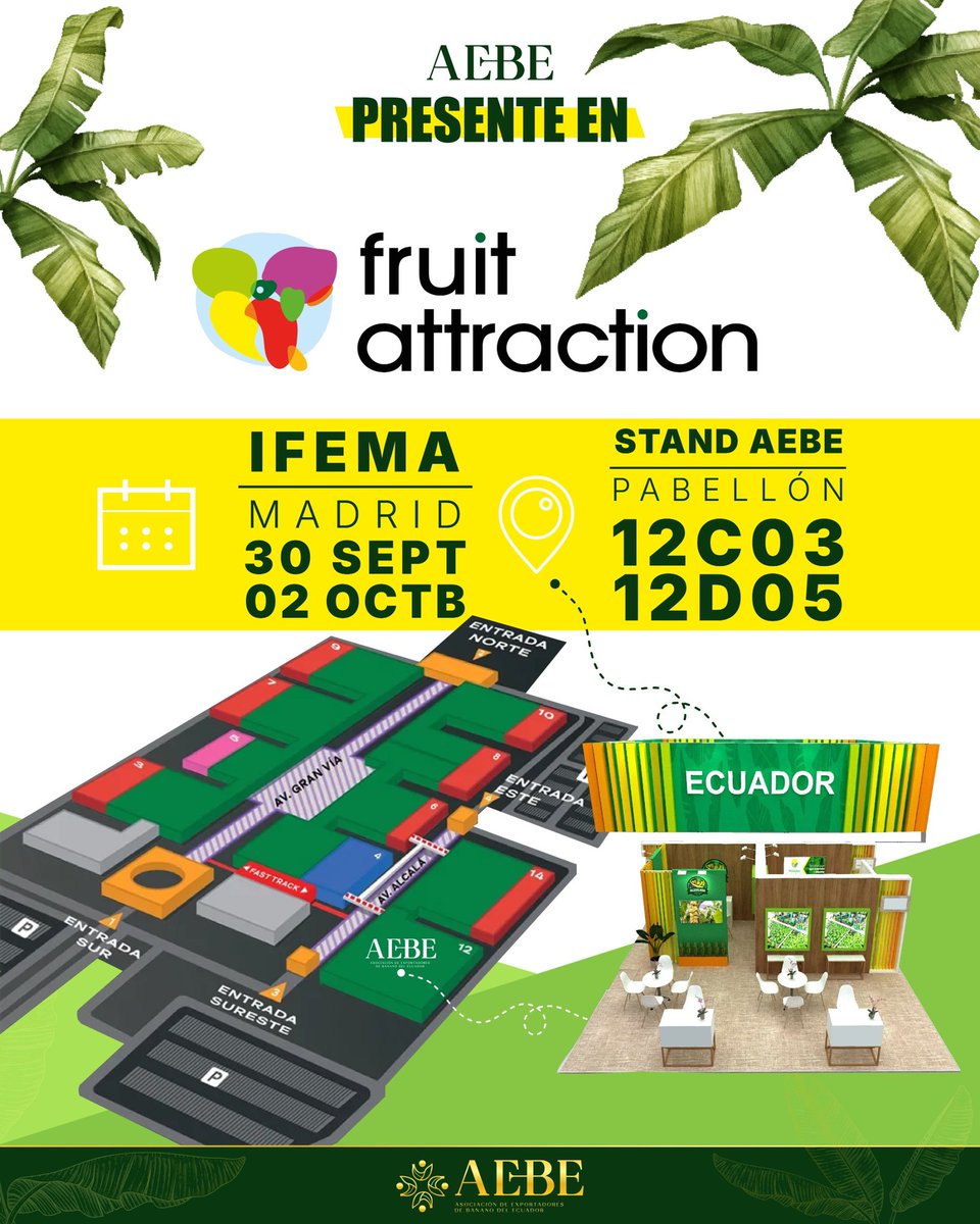 AEBE marcará presencia en Fruit Attraction 2025, consolidando un espacio clave para impulsar el banano ecuatoriano en los mercados internacionales. 🍌
Un encuentro que destaca la calidad, competitividad y liderazgo de nuestro producto en el mundo.