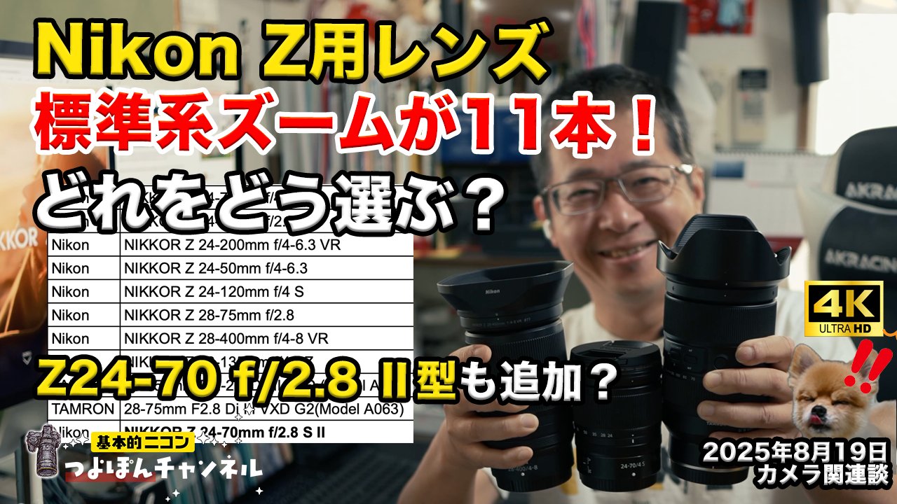 ノストラダムス大予言 セット ノストラダムス大予言 セット