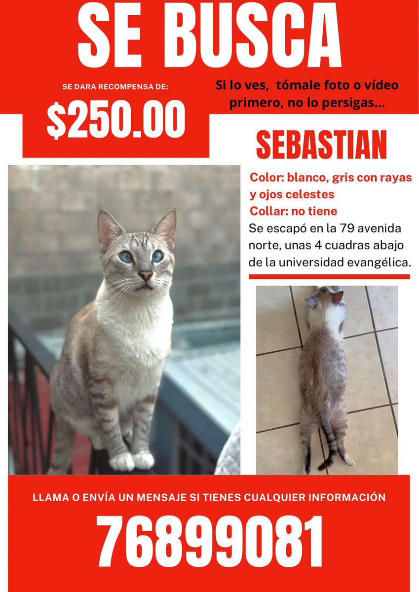 Se busca #ElSalvador