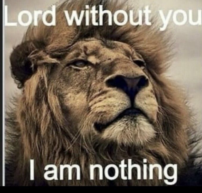 Christian Tweets (@jesussavesus777) on Twitter photo 