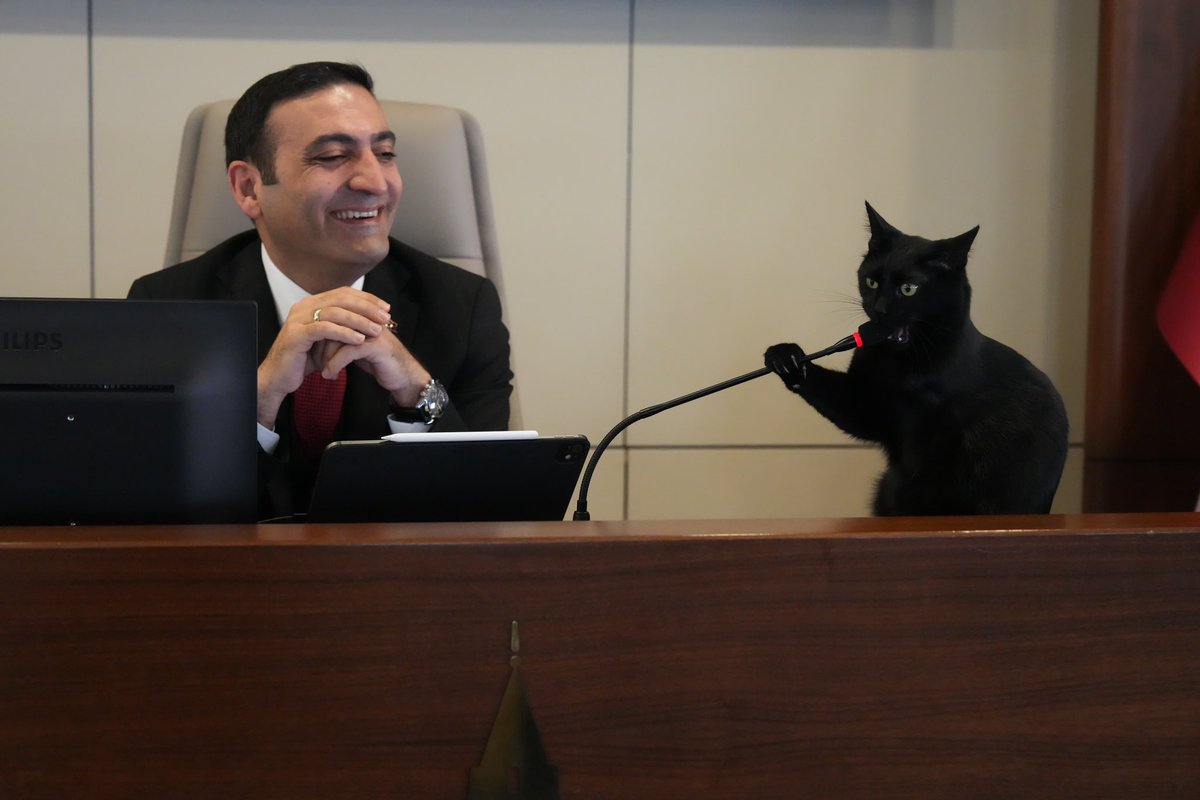 "Öyle yıkma kendini,
Öyle mahzun, öyle garip...
Nerede olursan ol,
İçerde, dışarda, derste, sırada,
Yürü üstüne - üstüne,
Tükür yüzüne celladın,"