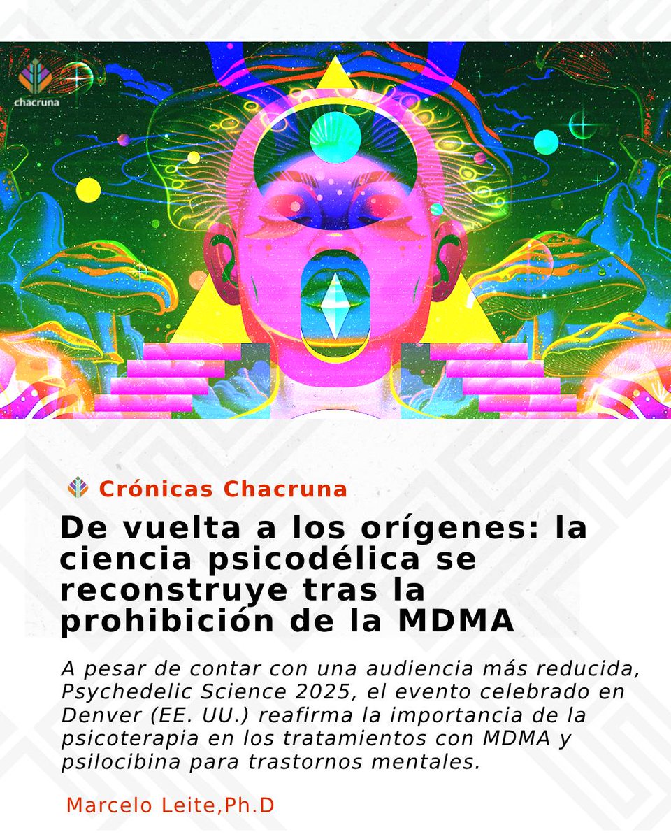 A pesar de contar con una audiencia más reducida, el evento celebrado en Denver (EE. UU.) reafirma la importancia de la psicoterapia en los tratamientos con MDMA y psilocibina para los trastornos mentales.👇
chacruna-la.org/articulos-es/d…