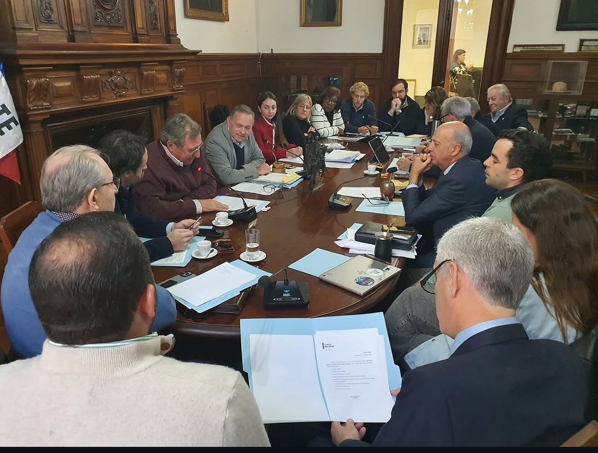 Panchi Valetta tweet media