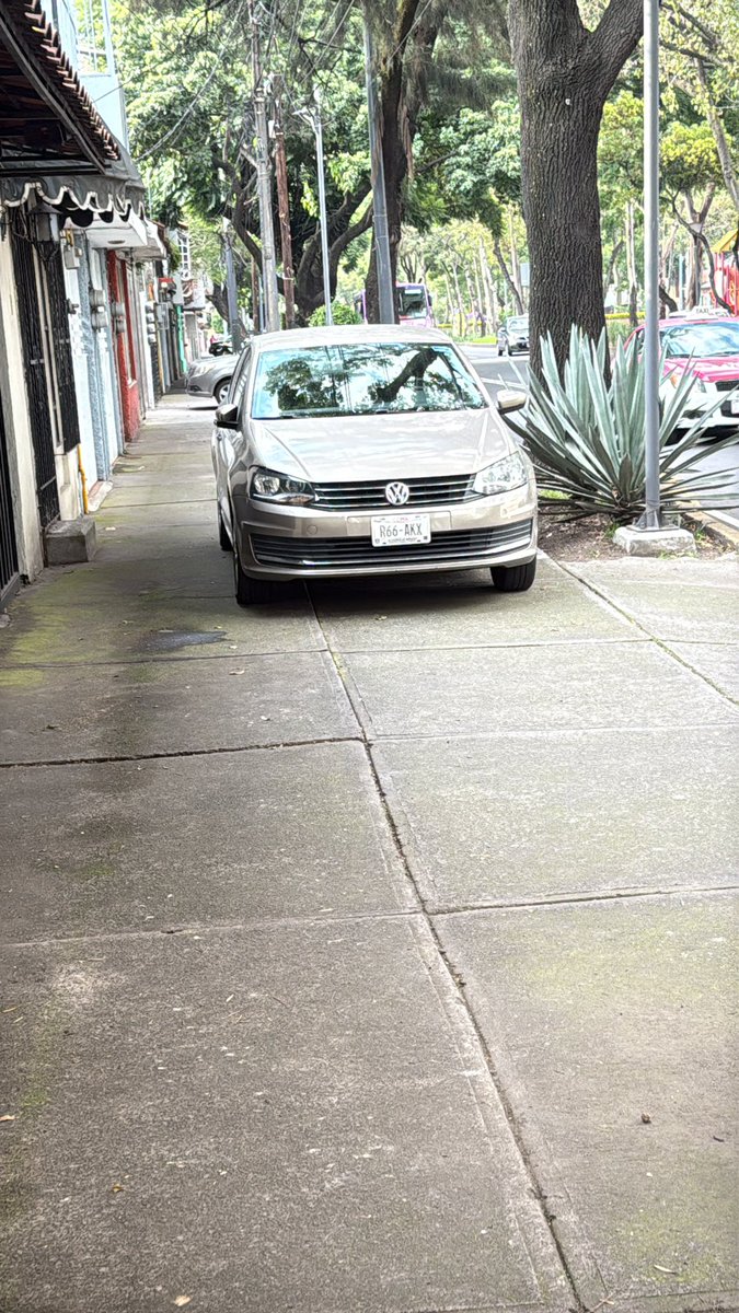 Joe Penneapple tweet media