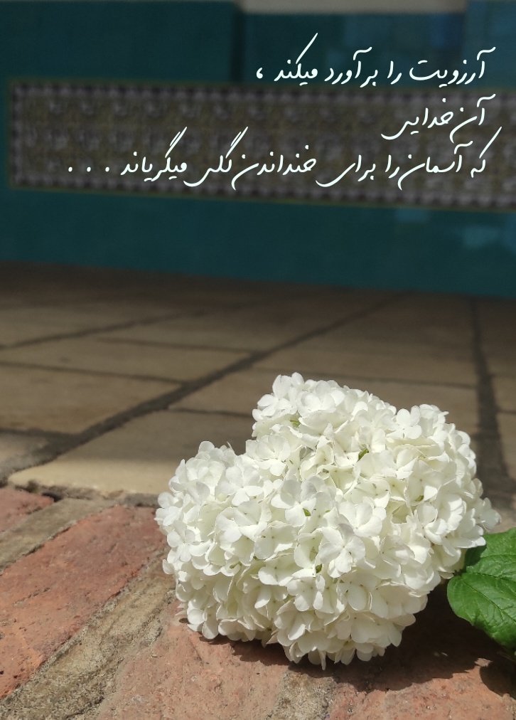 وخدایی که به شدت کافیست:)
#فالو_بک_فوری