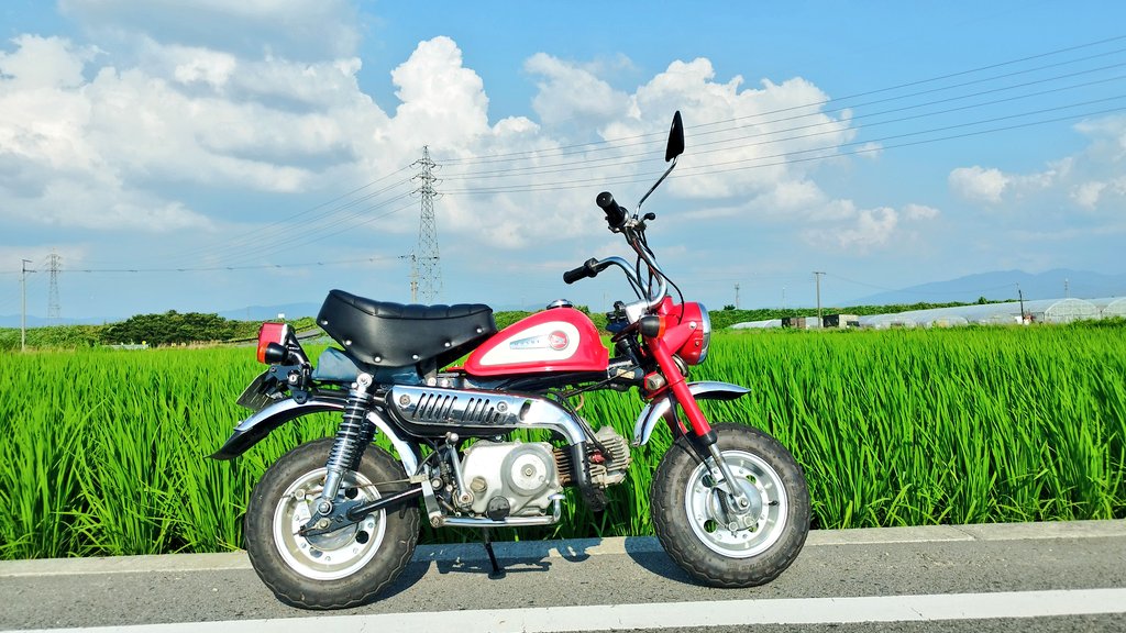 グロケン🦔 tweet media