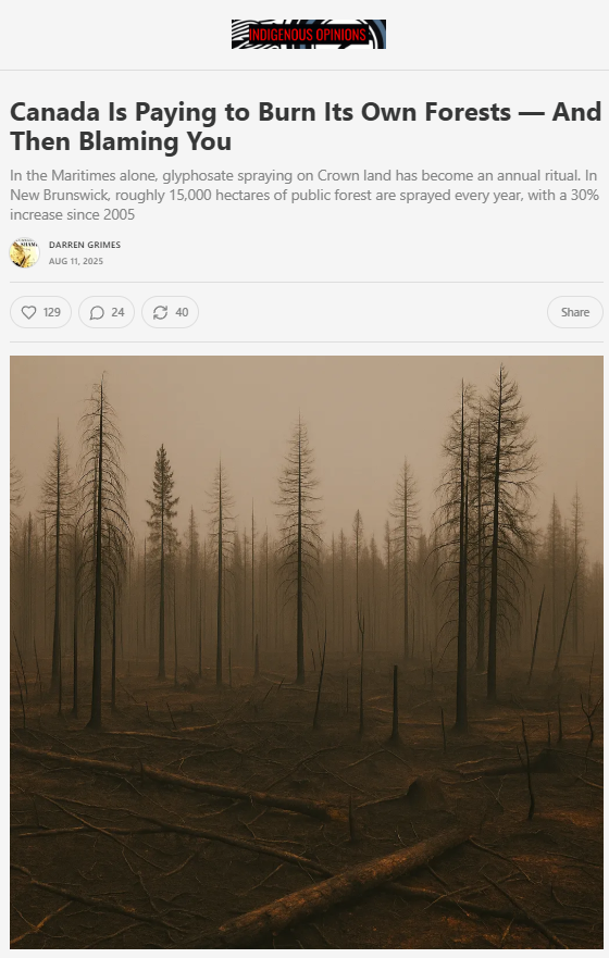 It seems indigenous communities have an opinion on the Nova Scotia "Woods ban."

"So the obvious question is — are Indigenous people still allowed into these closed areas when the bans are in place? By Treaty, the answer is yes. This creates yet another two-tier system, and while