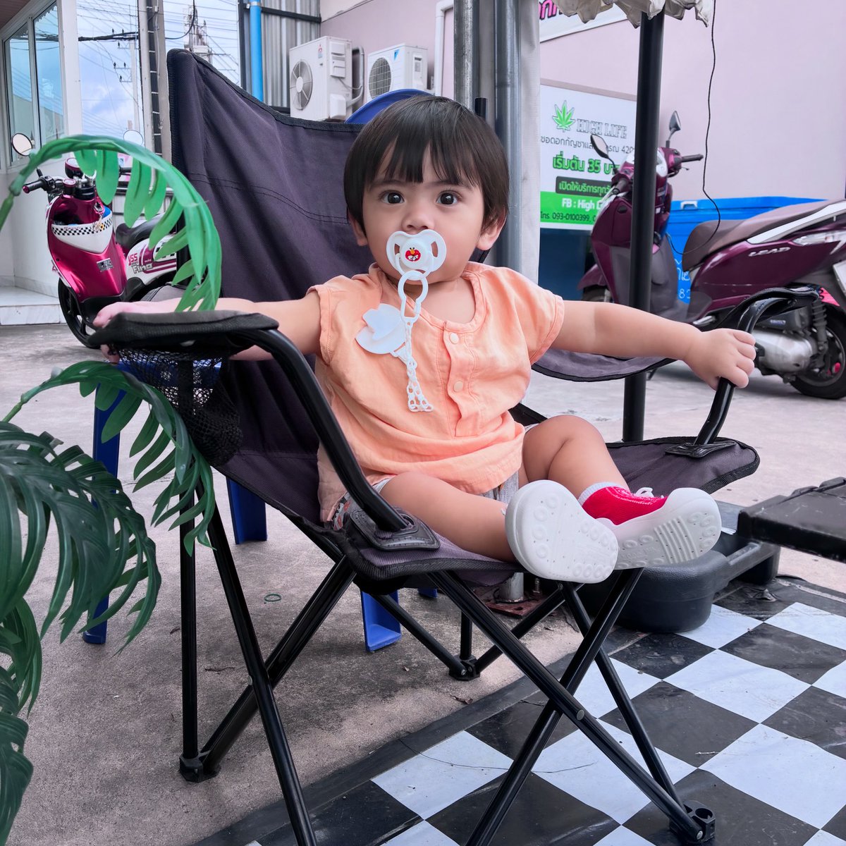 ไอ่ต้าวว