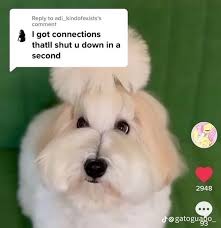 I do apoligise if commissions have been slow - I've just been dealing with beating myself down with inadequacy and I'd hate to keep anyone who's commissioned me waiting.

Apart from that - dog haha