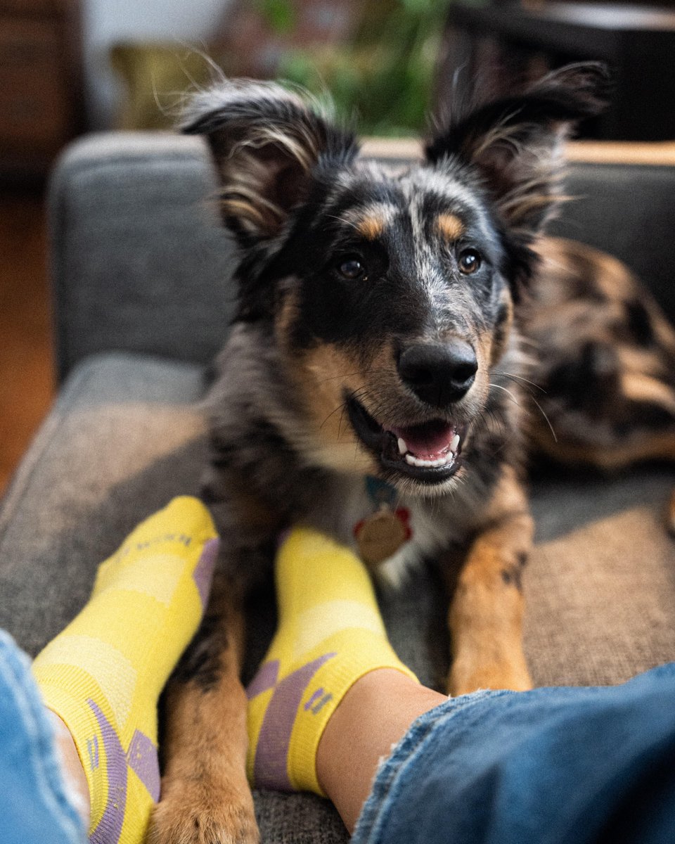 Right now, save an extra 10% on your seasonal favorites from The Sale Collection! Get them before they’re gone!

Your feet (and maybe your dog) will thank you: kentwool.com