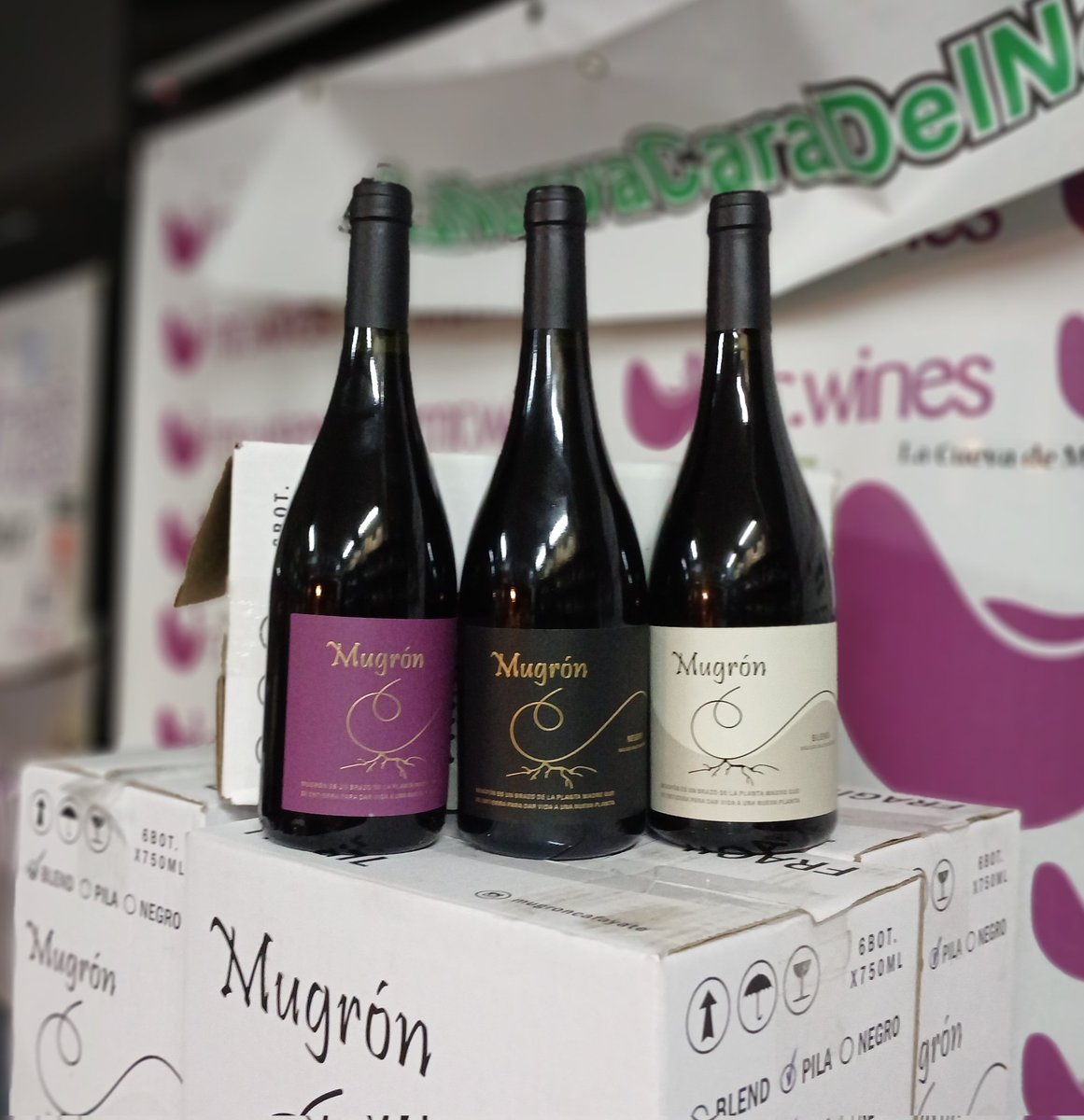 Llegó nueva añada de <a href="/mugroncafayate/">Mugron Cafayate</a> !!!
<a href="/claudiomaza1/">Claudio Maza</a>