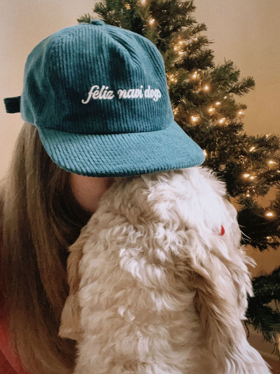 ThisIsHTAS's tweet image. Add festive flair to your pup's look with the Feliz Navi Dogs Hat! Perfect for holiday photos or winter walks, this charming hat makes your furry friend the star of the season. Shop now! 🎄🐶✨ #HolidayPets htanimalsupply.com/products/feliz…