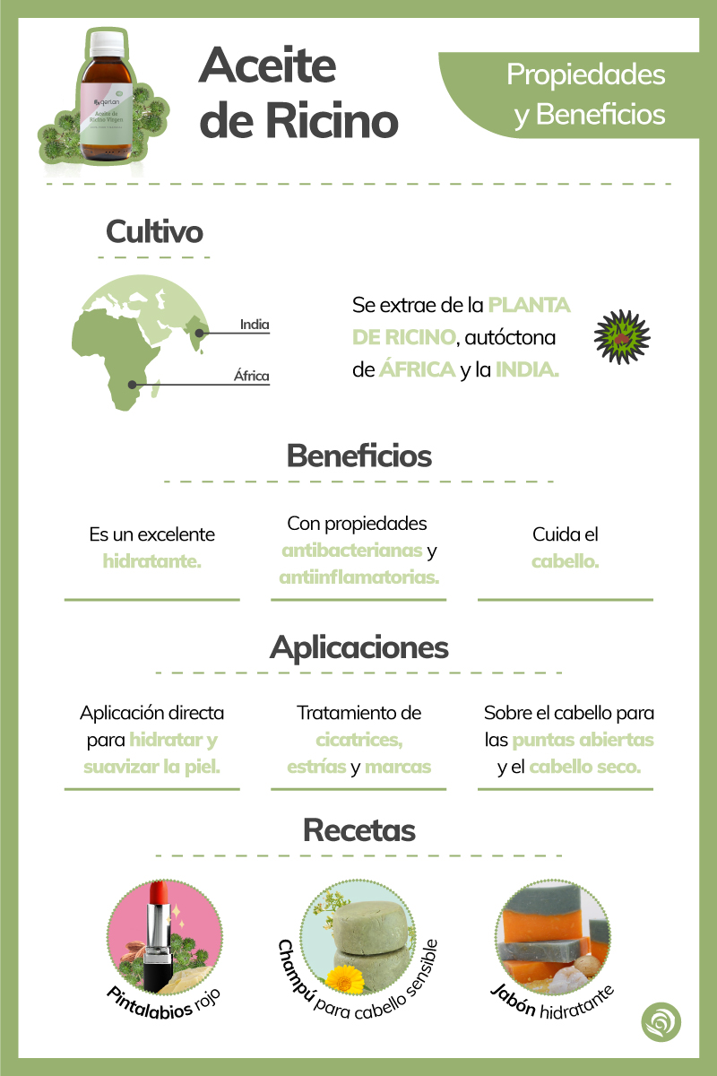 Food Cut tweet media