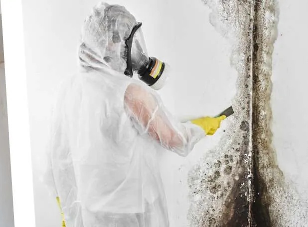 Winning the battle with mold—advice from Central Coast Casualty &amp; Restoration -  slovisitorsguide.com/winning-the-ba… 
#sanluisobispo