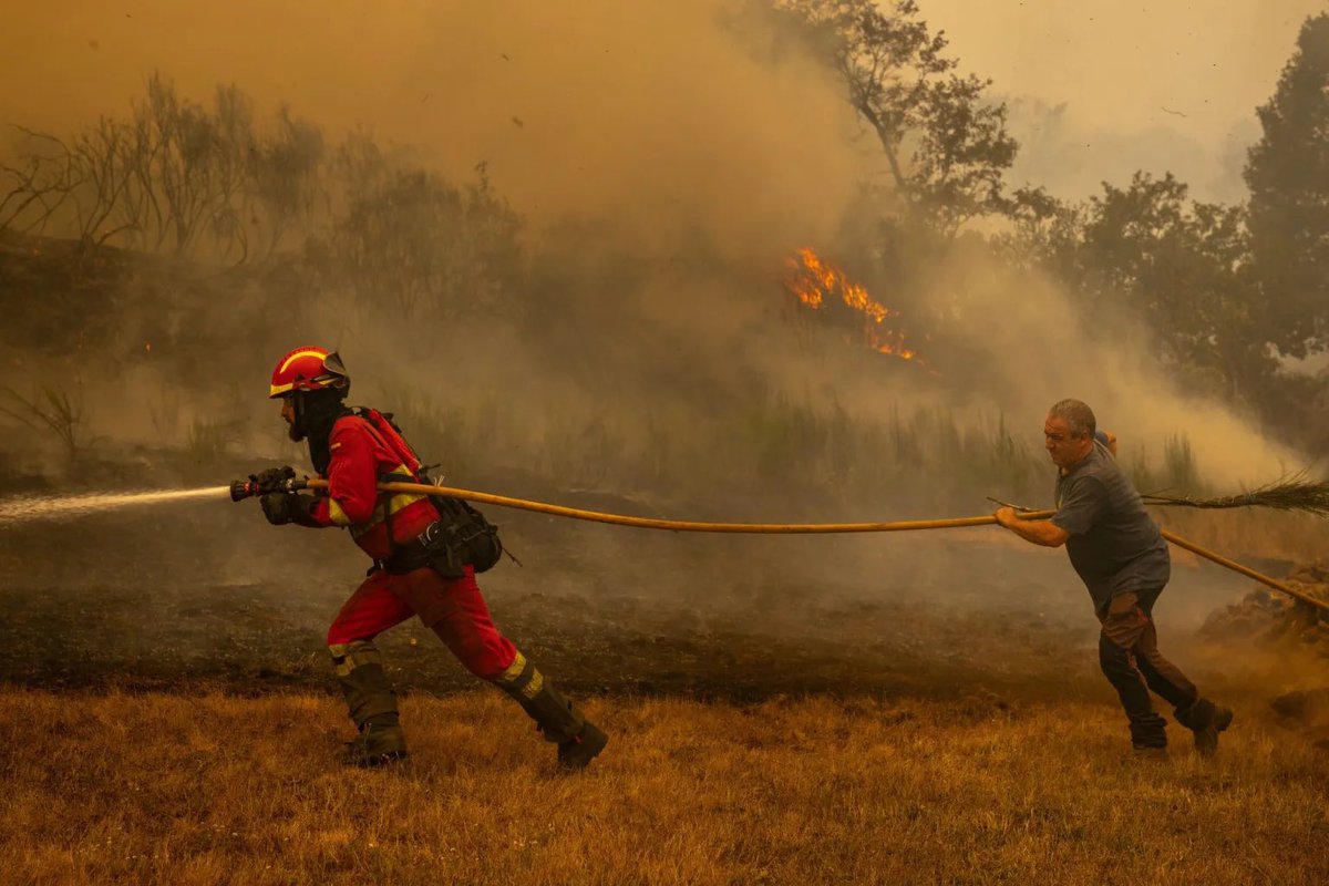 🔥El 90% de los incendios son de origen humano, pero #PedroSanchez prefiere culpar al CO₂ #CortinadeHumo

Usemos la ciencia con rigor!!! 

🌲Los montes no se queman por el clima. Se queman por negligencia, descuido o intención.