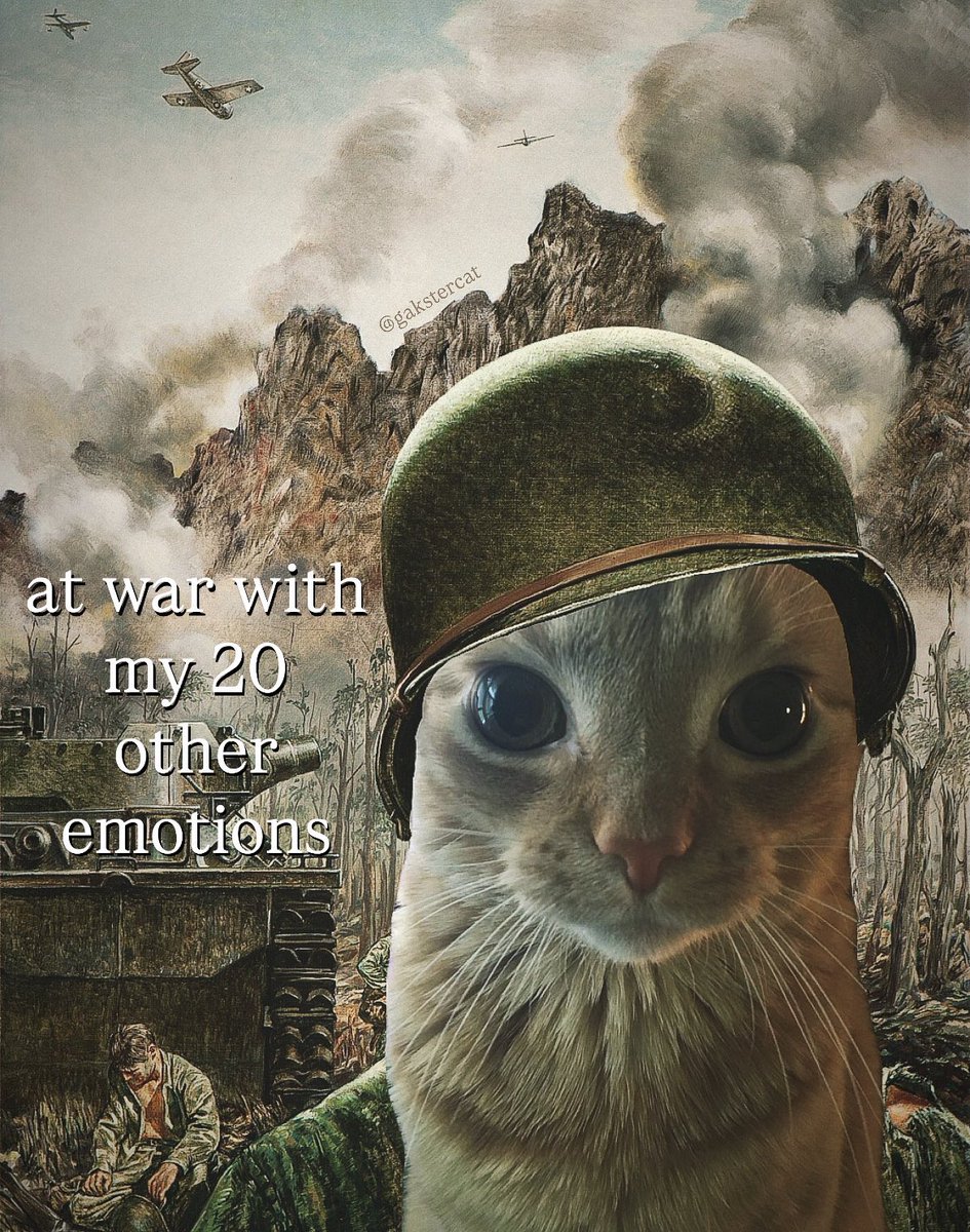 LiterallyMeCats (@literallymecats) on Twitter photo 