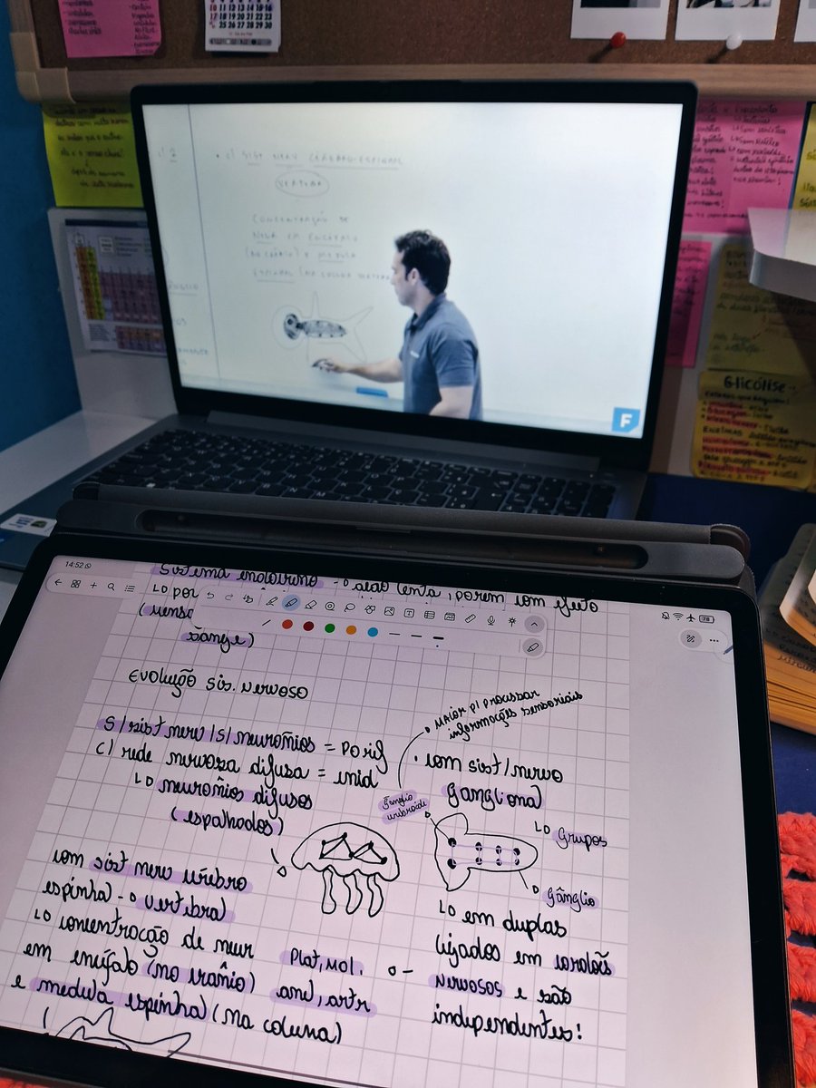 me pergunto todo dia como o landim guarda tanta informação na cabeça